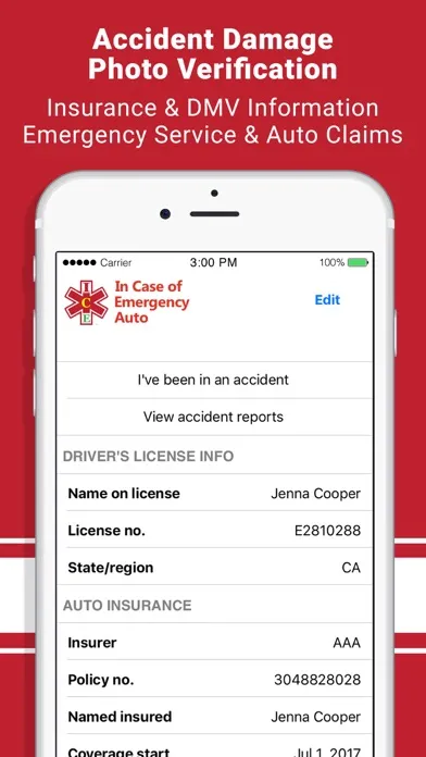 ICE Medical Standard Screenshots
