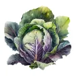 Grow: Garden Planner