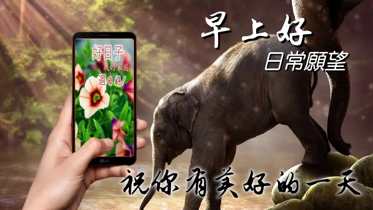 Chinese Morning & Night Greets應用截圖