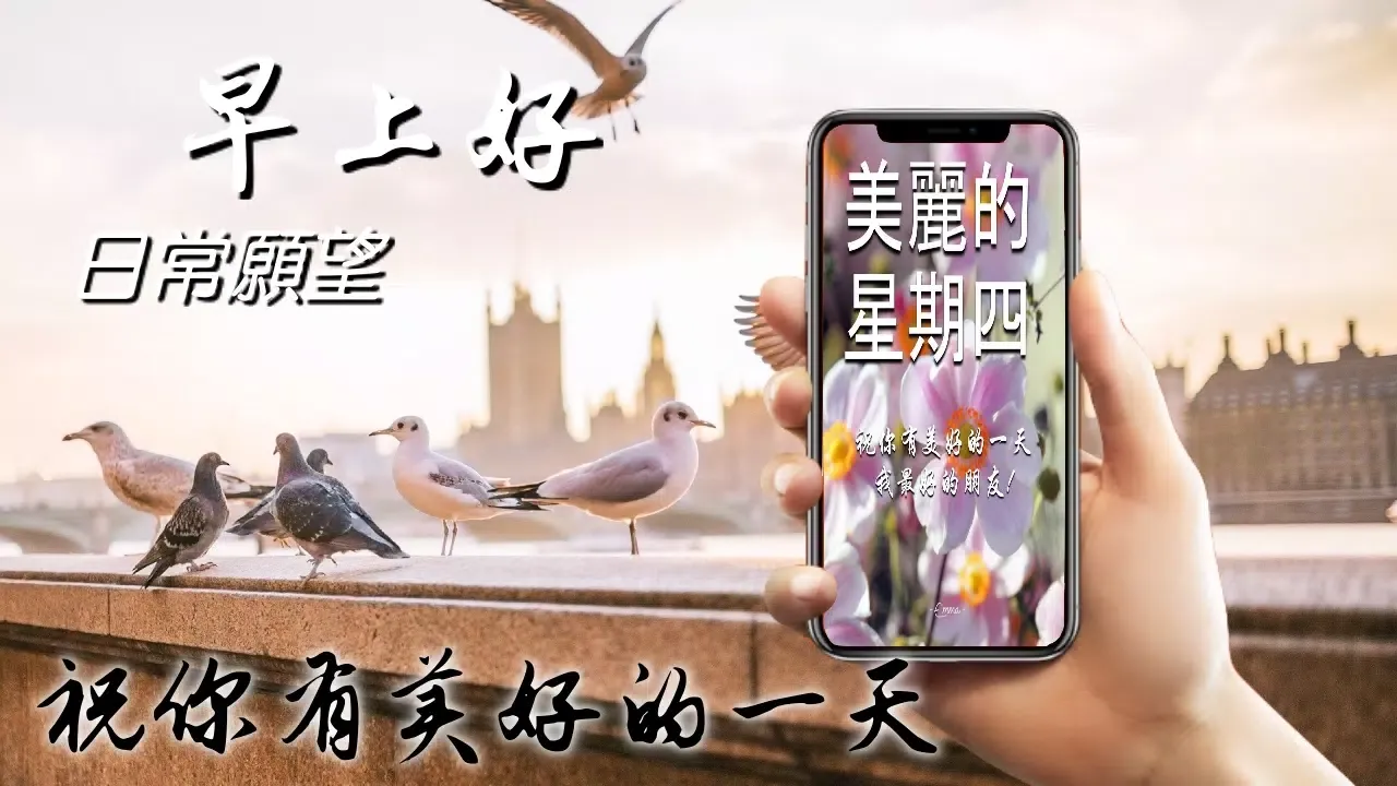 Chinese Morning & Night Greets應用截圖