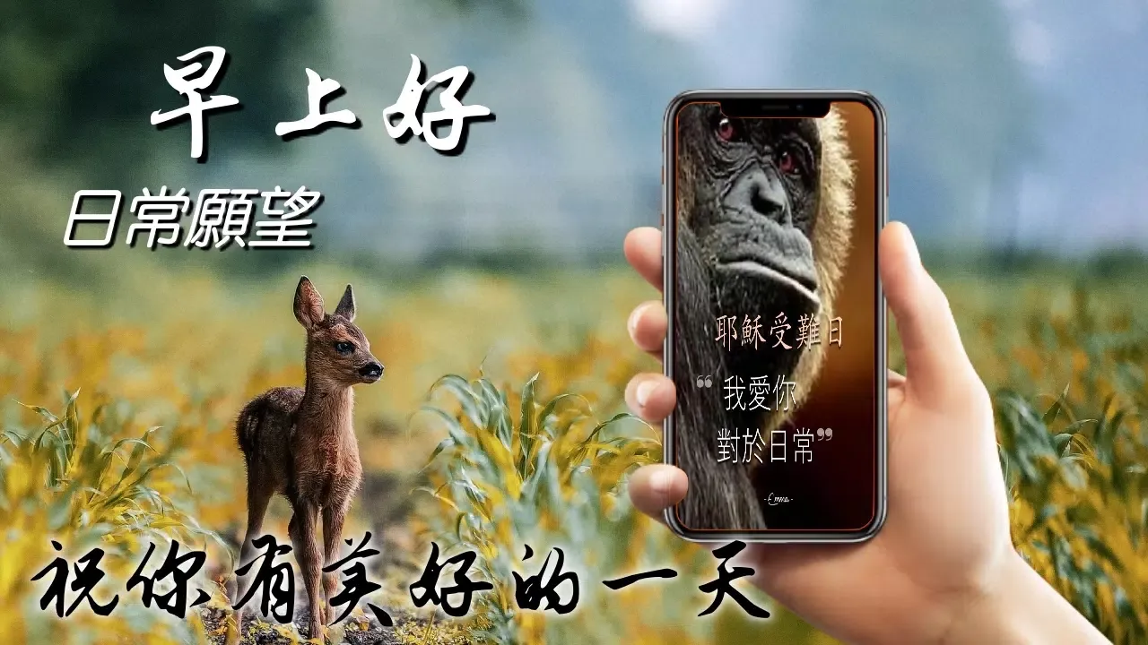 Chinese Morning & Night Greets應用截圖