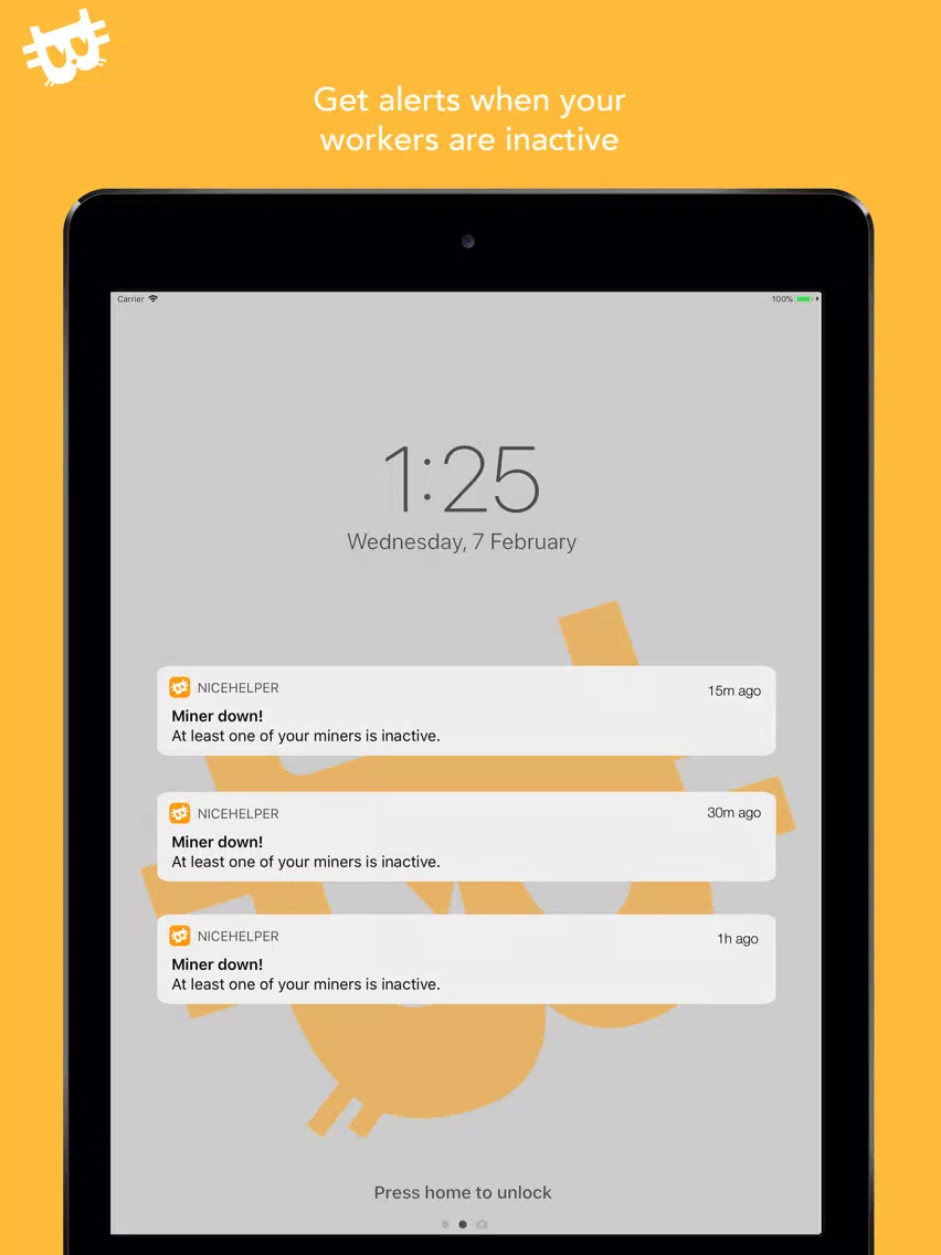 NiceHelper: NiceHash Helper iPad  Ekran Görüntüleri