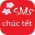 SMS Tet 2015 - Gui tin nhan, loi chuc, tang ban, gia dinh Tet At Mui