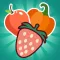 Fruits Jam Crush