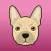 FrenchieMoji: French Bulldog Emojis