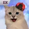 Cat Keyemoji Pro