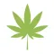 4:20 News & Cannabis Guides