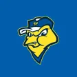 Sioux Falls Canaries Game Day