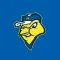 Sioux Falls Canaries Game Day