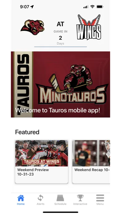 Captures d'écran de Tauros Hockey