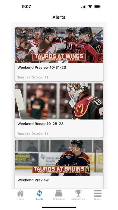 Captures d'écran de Tauros Hockey