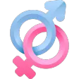 Predict Gender
