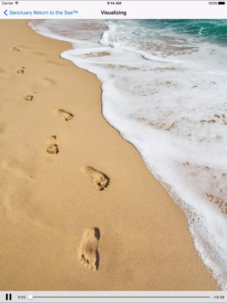 Sanctuary Return to the Sea™ iPad  স্ক্রিনশট