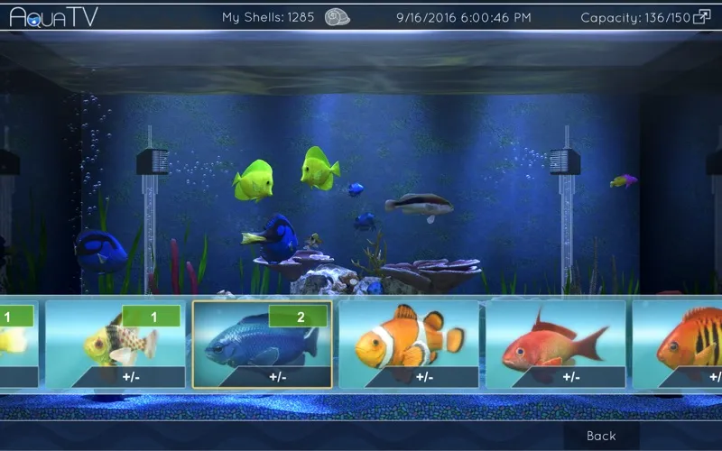 Aqua TV سکرین شاٹس
