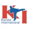 Karate International - Raleigh