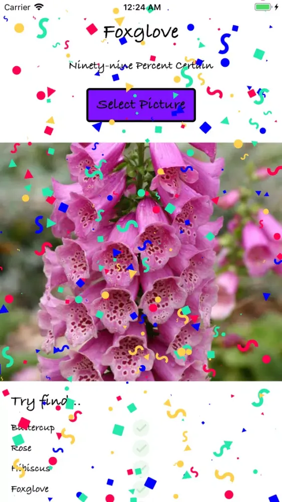 Flower Identifier AI スクリーンショット