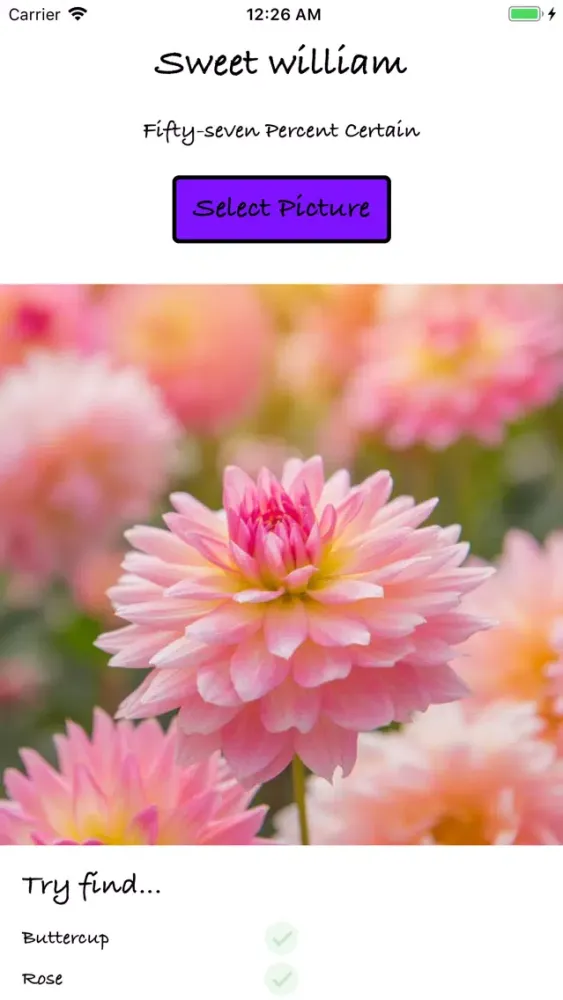 Flower Identifier AI スクリーンショット