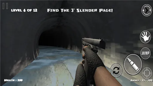 Скриншоты Slender Insane