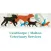 Cawthorpe/Malton Veterinary Services