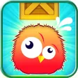 Save the Bird from Falling Box