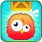 Save the Bird from Falling Box