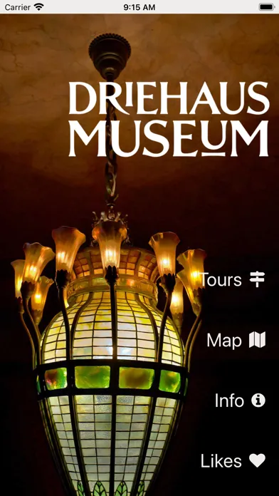 Скриншоты Driehaus Museum