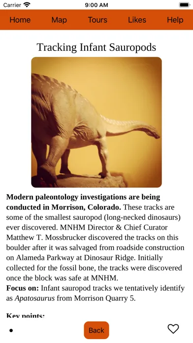 Screenshot di Morrison Museum