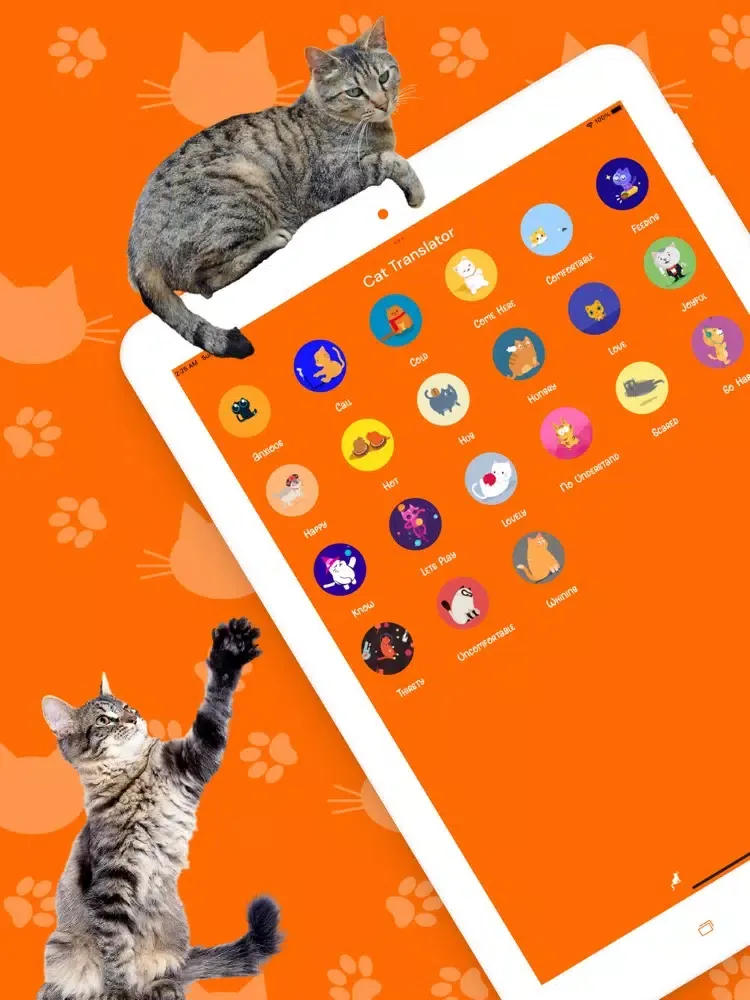 Capturas de tela do Catify: Cat Translator iPad 