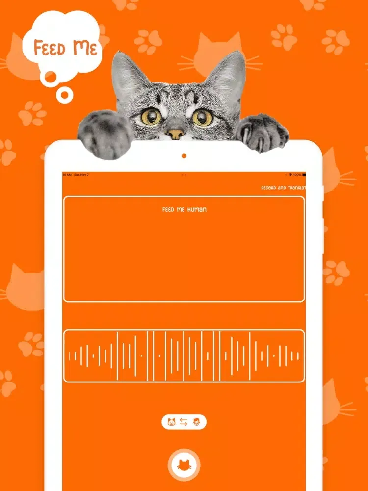 Capturas de tela do Catify: Cat Translator iPad 