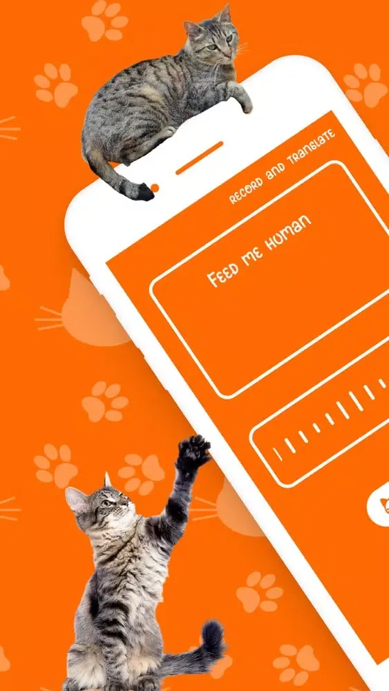 Capturas de tela do Catify: Cat Translator
