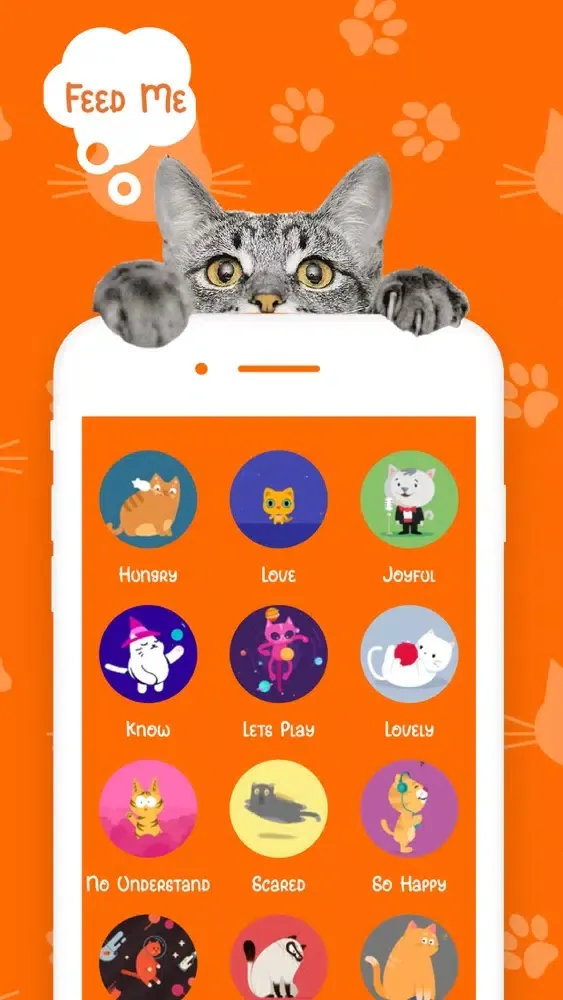 Capturas de tela do Catify: Cat Translator