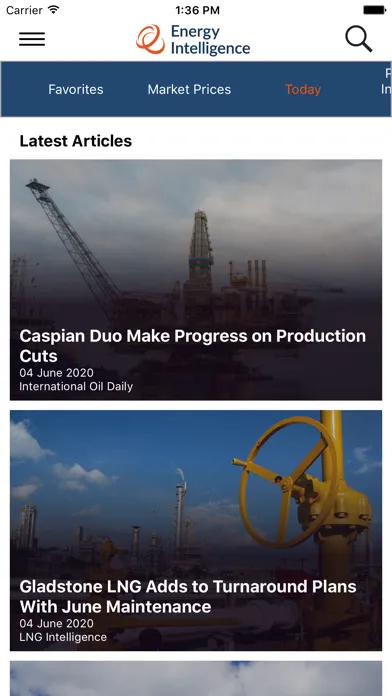 Energy Intelligence Ekran Görüntüleri
