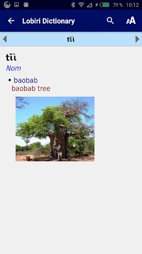 Lobiri dictionary應用截圖