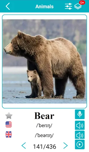 صور English Animals Vocabulary