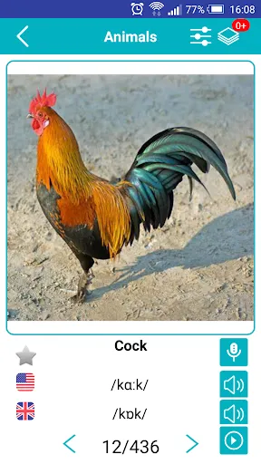 صور English Animals Vocabulary