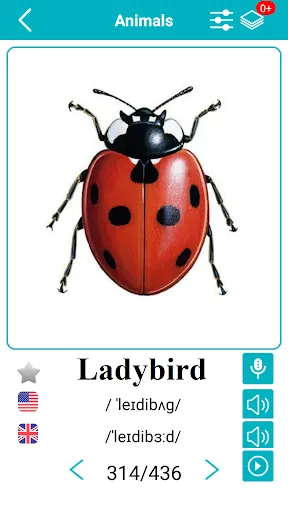 صور English Animals Vocabulary