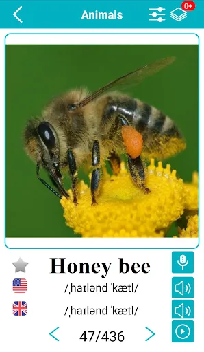 صور English Animals Vocabulary