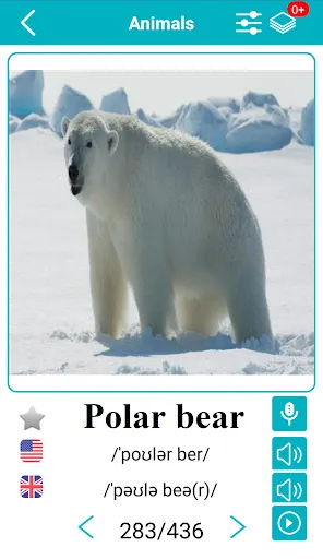 صور English Animals Vocabulary