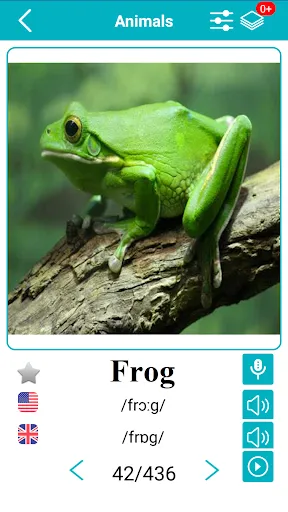 صور English Animals Vocabulary