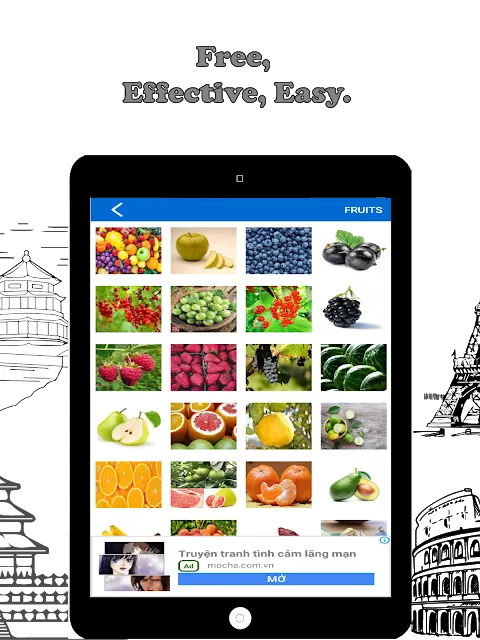 Ảnh chụp màn hình của English Vocabulary