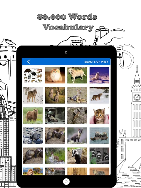 Ảnh chụp màn hình của English Vocabulary