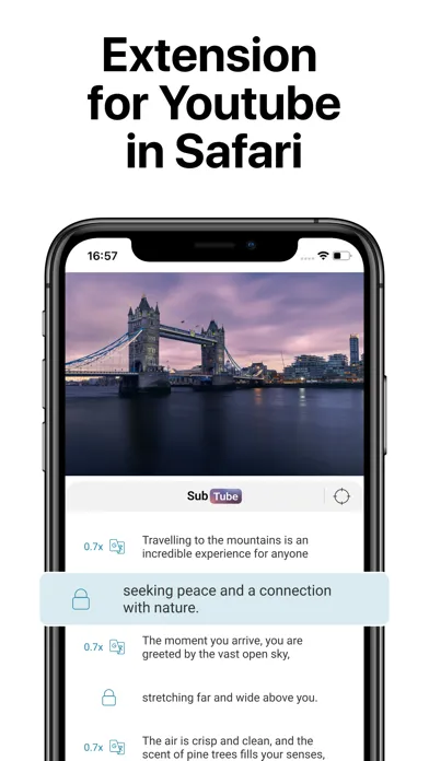 SubTube: Video Translator Screenshots