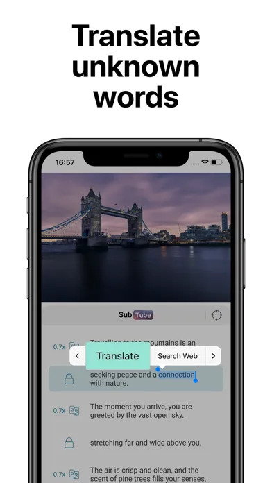 SubTube: Video Translator Screenshots