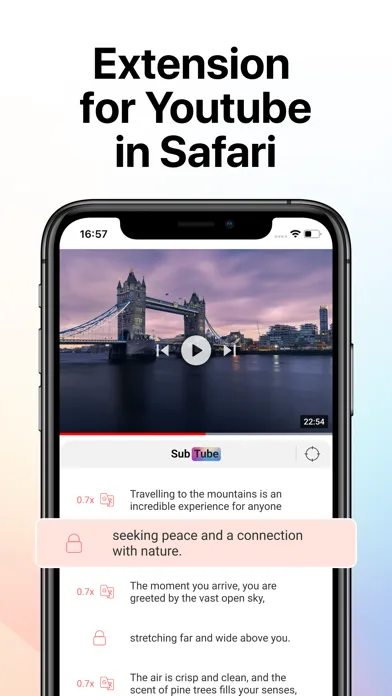 SubTune: Language Learning Screenshots