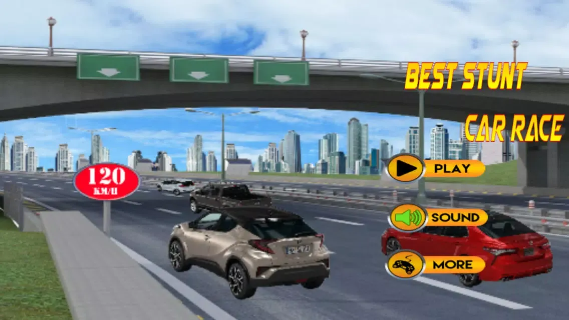 Скриншоты Best Stunt Car Race