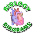 Learn Biology Diagrams-Offline