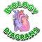 Learn Biology Diagrams-Offline