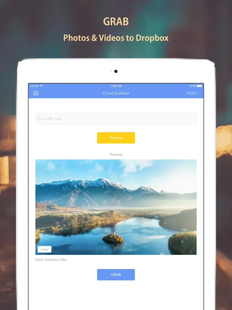 Cloud Grabber - Grab Photos and Videos to Dropbox iPad  Ekran Görüntüleri