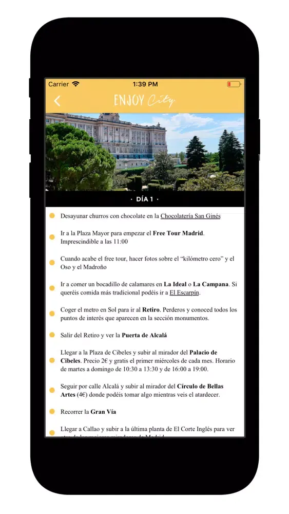 Screenshot di Enjoy City
