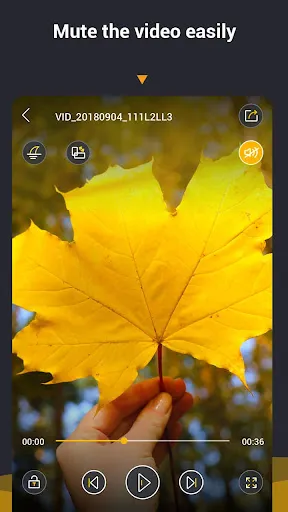 Video Player All Format Screenshots